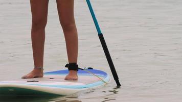 flicka i bikini, flyter i hav på de paddla styrelse i långsam rörelse. sport livsstil i de sommartid. aktivitet fritid på vatten. kondition, yoga och avslappning på supera styrelse. video