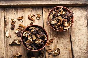 Forest dried mushrooms photo
