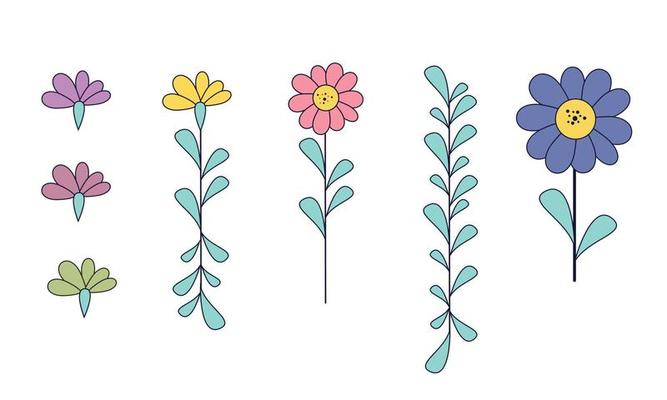 Set of flowers and leaves vector.