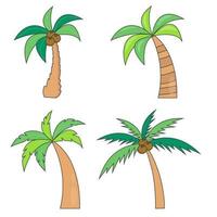 Set of different palm trees with coconuts. Vector illustration. Isolated on white background.