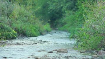 piccolo montagna fiume fluente lungo il canale video