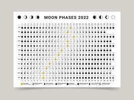 Moon calendar 2022 vector