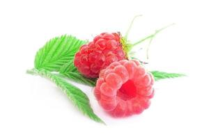 raspberry on white background photo