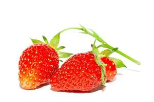 Strawberry isolated on white background photo