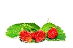 Strawberry isolated on white background photo