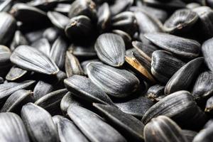 texture of sunflower seeds photo