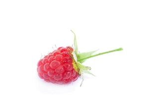 raspberry on white background photo