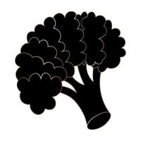 Broccoli. Silhouette. Inflorescence of asparagus cabbage. Blooming stem. A healthy vegetable. vector