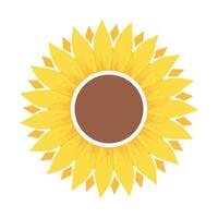 Beautiful and natural sunflower illustration vector