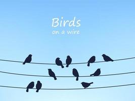 Sparrow birds flock on power line and wires vector