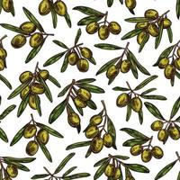 Vector olives sketch pattern background