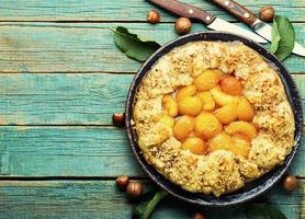 Autumn pie or biscuit with plum,space for text photo