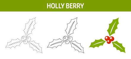 Holly Berry tracing and coloring worksheet for kids vector