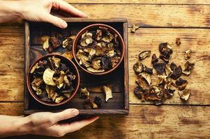Forest dried mushrooms in hands photo