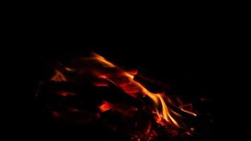 small bonfire with flaming sparks on a black background, close-up. Camping at night video