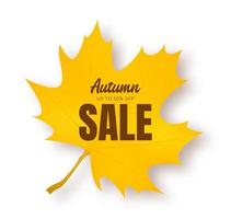 Autumn sale banner. Fall design background. vector