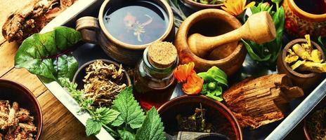 Preparation of medicines from medicinal herbs and plants. photo