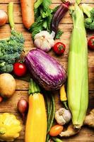 Big set of fresh vegetables photo