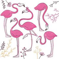 Set of funny hand drawn flamingos. vector