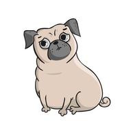 Cute pug isolated on white background. vector