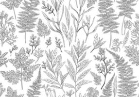 Botanical illustration. Seamless pattern. vector