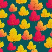 Autumn seamless background with maple colorful leaves. Design for fall season posters, wrapping papers and holidays decorations. Vector illustration