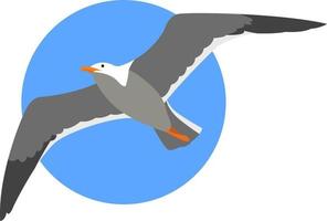 Seagull flying, illustration, vector on white background