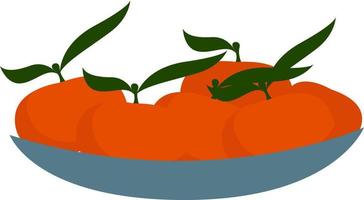 Fresh tangerines, illustration, vector on white background.