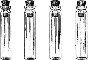 Empty vial, vintage illustration. vector