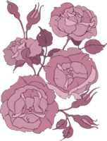 delicato mazzo di rosa Rose, ramo con fiori, le foglie e mini cuffie, illustrazione per moda, tessile, tessuto, decorazione. png