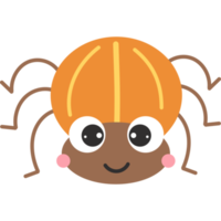 insecto. escarabajo de patata png