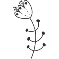 flower with leaves.  doodle png