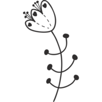 Blume mit Blättern. Gekritzel png