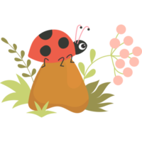 Funny ladybug on a stone png