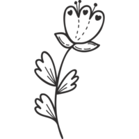 Blume mit Blättern. Gekritzel png