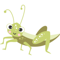 Cute grasshopper character png