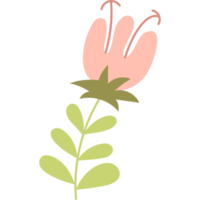 flor con hojas png