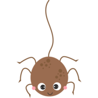 Insect. Cute spider on web png