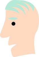 Man with small amount of hair, illustration, vector, on a white background. vector