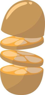 Sliced fruit, illustration, vector on white background.