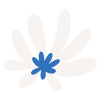 flor de calêndula fofa na ilustração desenhada à mão na moda para elemento de design png