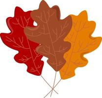 Autumn leaves, illustration, vector on white background.