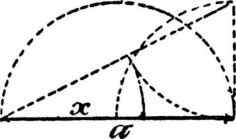 modelo de proporciones geométricas, ilustración vintage. vector