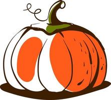 Pumpkin sketch, illustration, vector on white background.