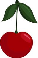 Fresh cherry, illustration, vector on white background