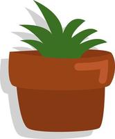 Home plant in pot, illustration, vector, on a white background. vector