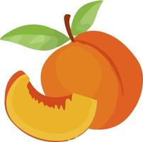 Piece of peach, illustration, vector on white background