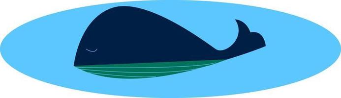 A big whale, vector or color illustration.