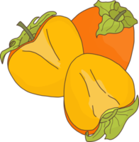 caqui naranja. fruta de otoño png