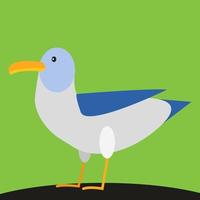 Gull, illustration, vector on white background.